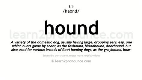 hounder meaning|hound pronunciation.